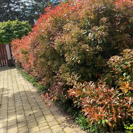 B4 Garden *** Σπίτι διακοπών *