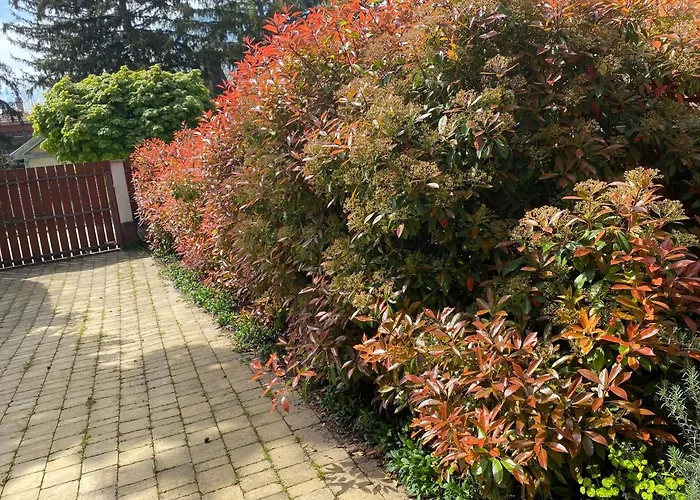 B4 Garden *** Дом отдыха *